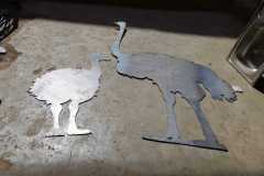 WhatsApp-Image-2023-01-12-at-7.51.47-PM